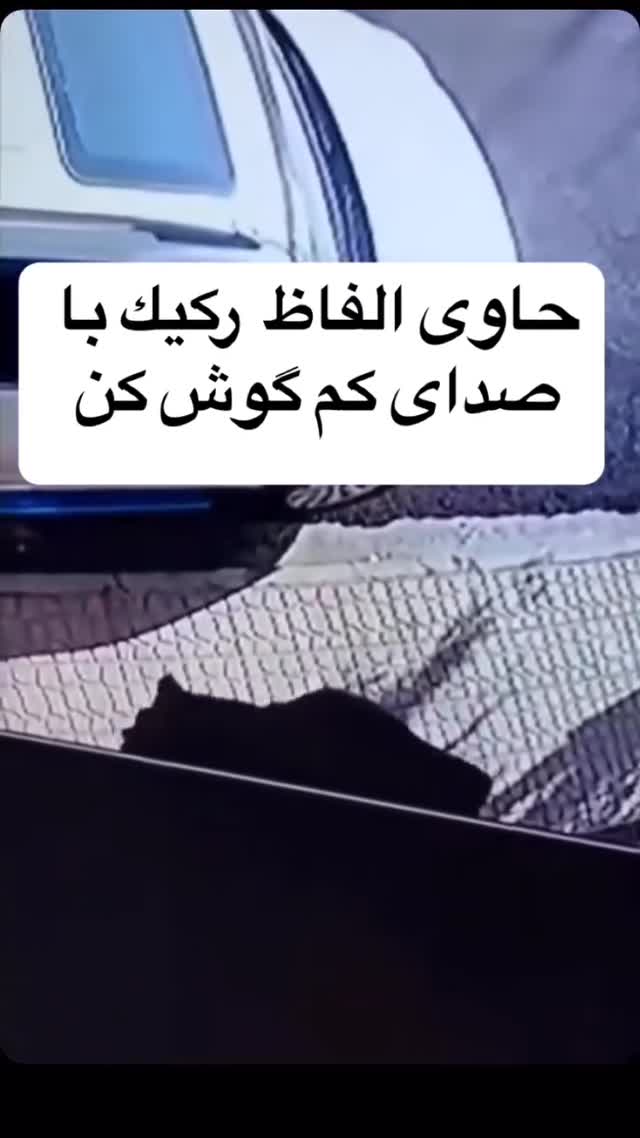 🔴 ویدیویی عجیب از یکی از حامیان حکومت ⭐️ @Military_Hut |…